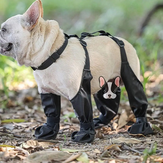 Botas con Tirantes para Perros