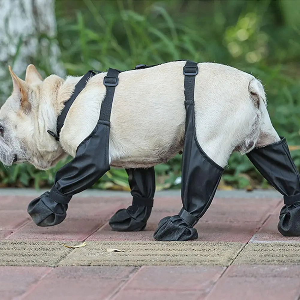 Botas con Tirantes para Perros