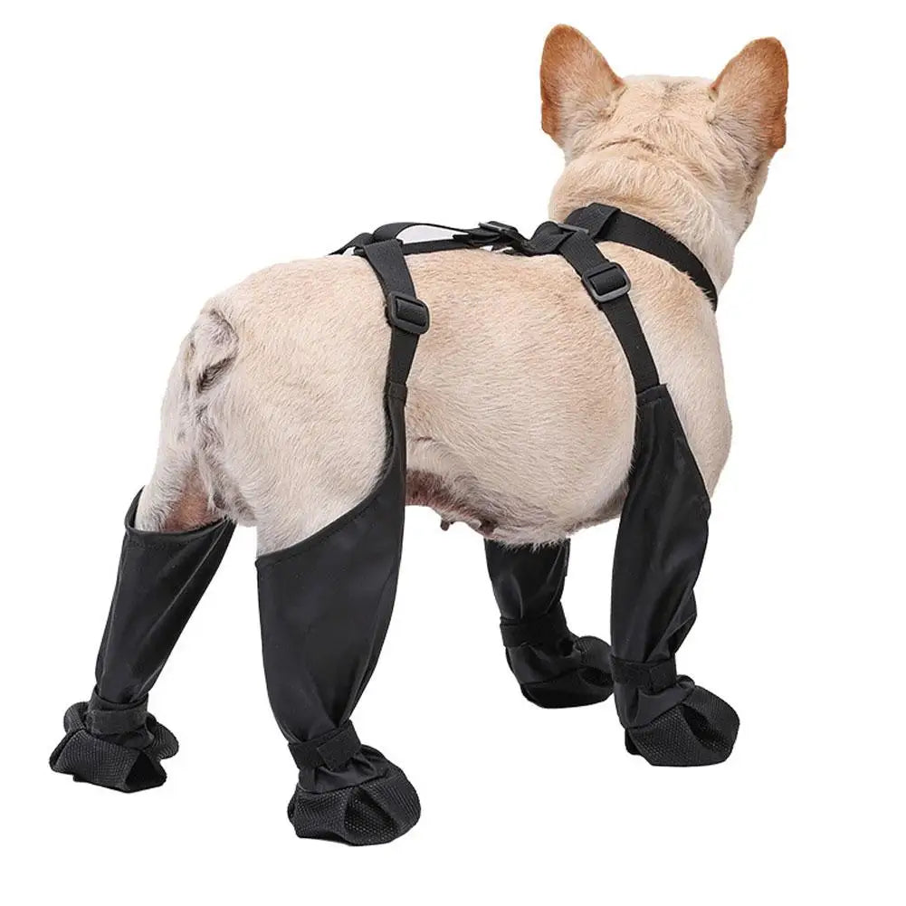 Botas con Tirantes para Perros