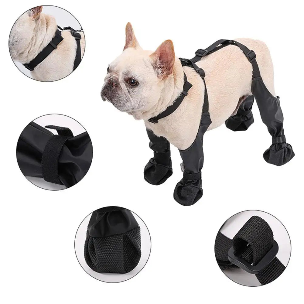 Botas con Tirantes para Perros